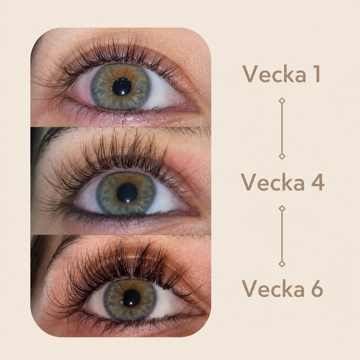 Biopeptide Eyelash Growth Serum